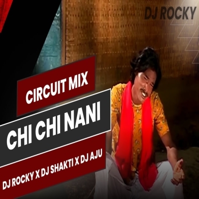 CHI CHI NANI CHI (CIRCUIT X TAKA TAKA) DJ ROCKY X DJ SAKHTI ULTRA X DJ AJU