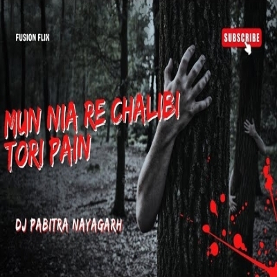 Tu Mo Pain (Edm Mix) Dj Pabitra