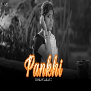 Pankhi (Troll Mix) Dj B Audio