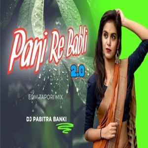 Pani Re Babli 2.0 (Edm Tapori Mix) Dj Pabitra